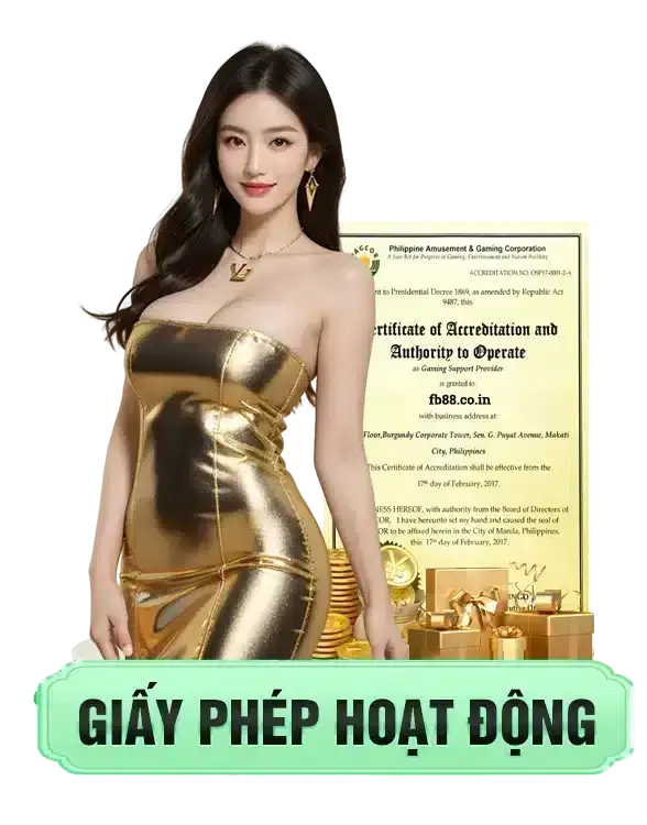 giấy phép hoạt động TK88